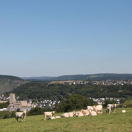 Ferienwohnung Auf Der Moselhoehe - Naehe Koblenz Und Cochem Dieblich Luaran gambar