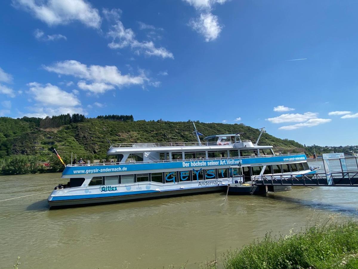 Ferienwohnung Auf Der Moselhoehe - Naehe Koblenz Und Cochem Dieblich Luaran gambar