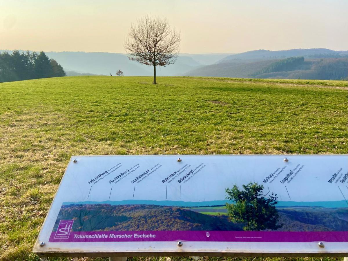 Ferienwohnung Auf Der Moselhoehe - Naehe Koblenz Und Cochem Dieblich Luaran gambar