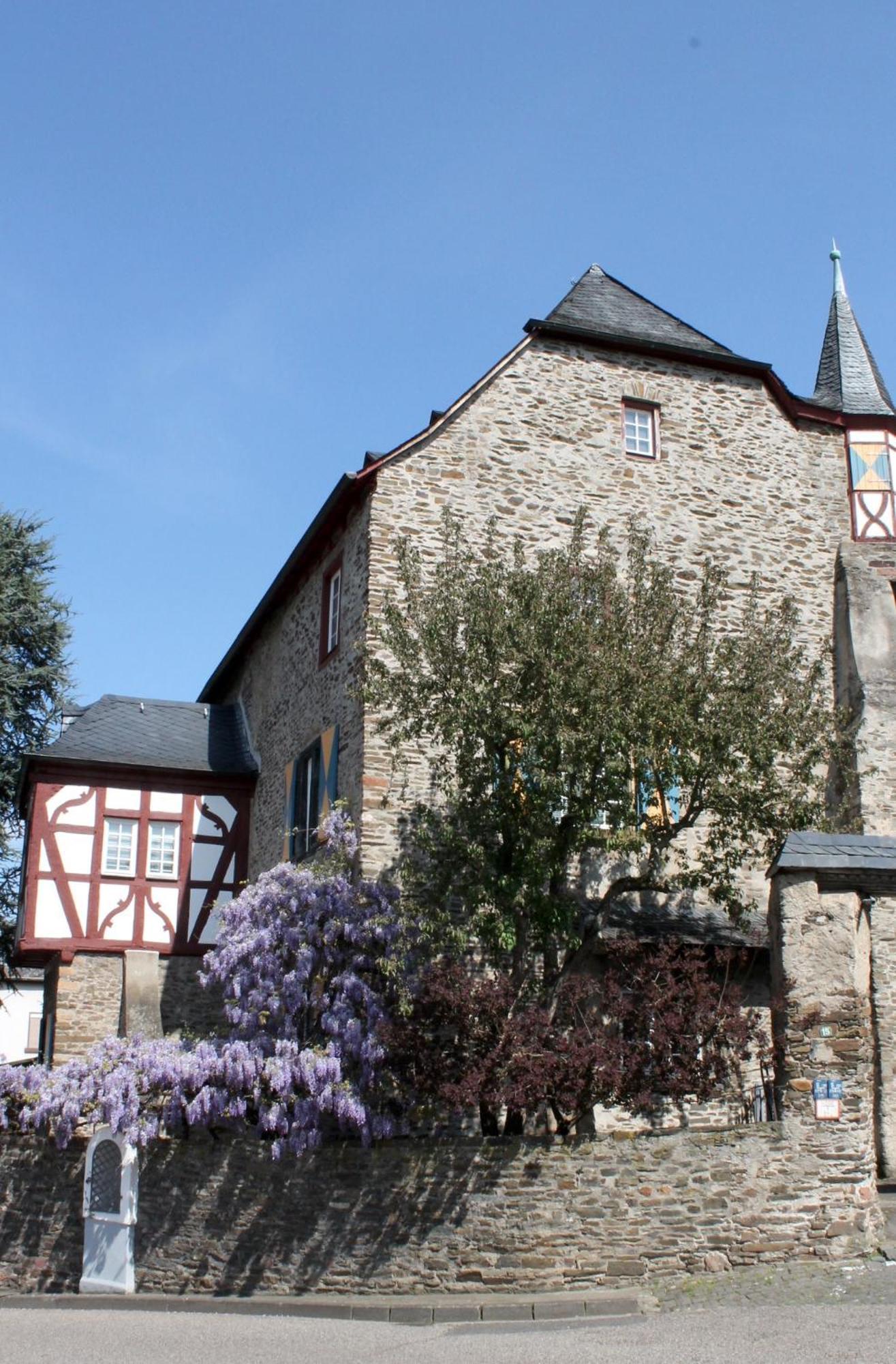 Ferienwohnung Auf Der Moselhoehe - Naehe Koblenz Und Cochem Dieblich Luaran gambar