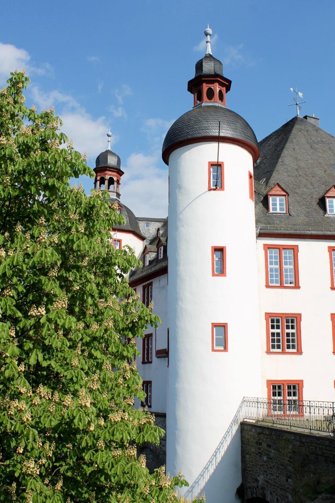 Ferienwohnung Auf Der Moselhoehe - Naehe Koblenz Und Cochem Dieblich Luaran gambar