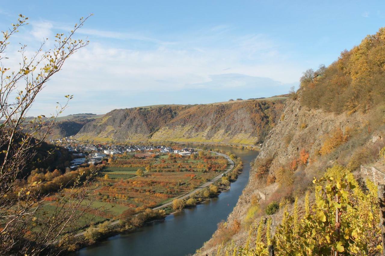Ferienwohnung Auf Der Moselhoehe - Naehe Koblenz Und Cochem Dieblich Luaran gambar