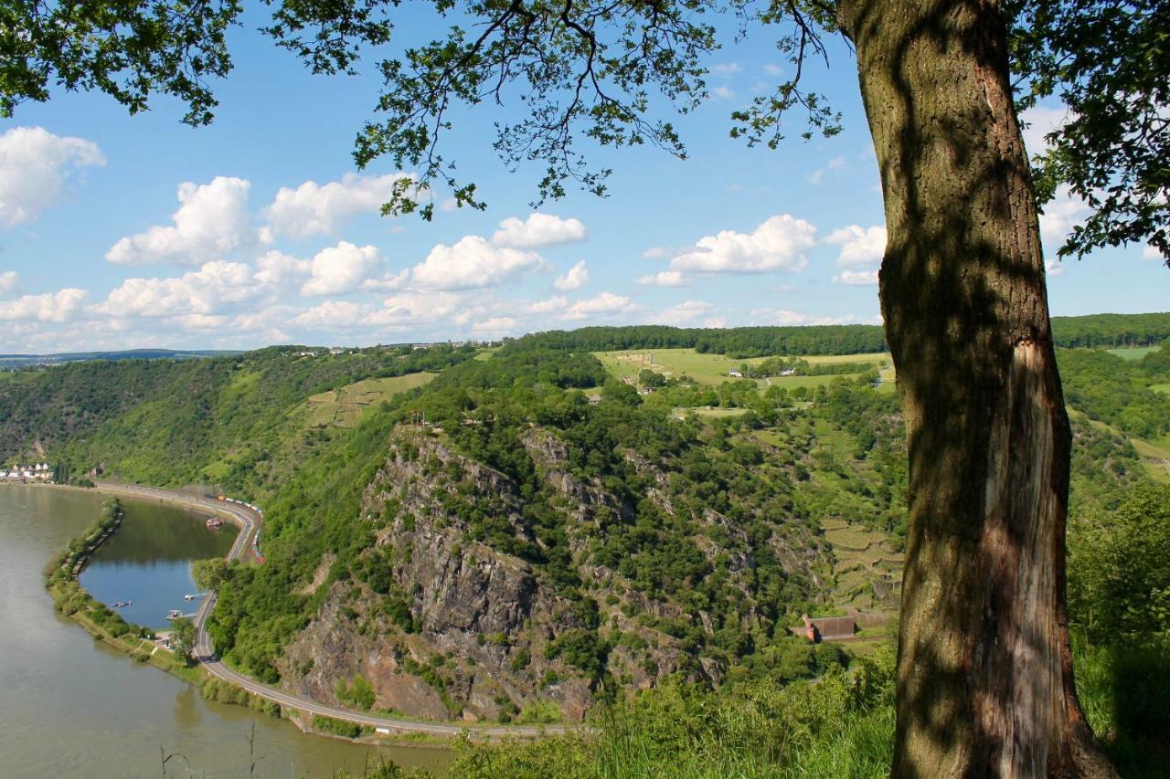 Ferienwohnung Auf Der Moselhoehe - Naehe Koblenz Und Cochem Dieblich Luaran gambar